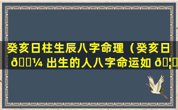 癸亥日柱生辰八字命理（癸亥日 🐼 出生的人八字命运如 🦁 何）